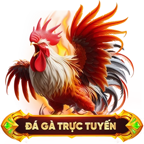 đá gà trực tuyến 888SLOTS